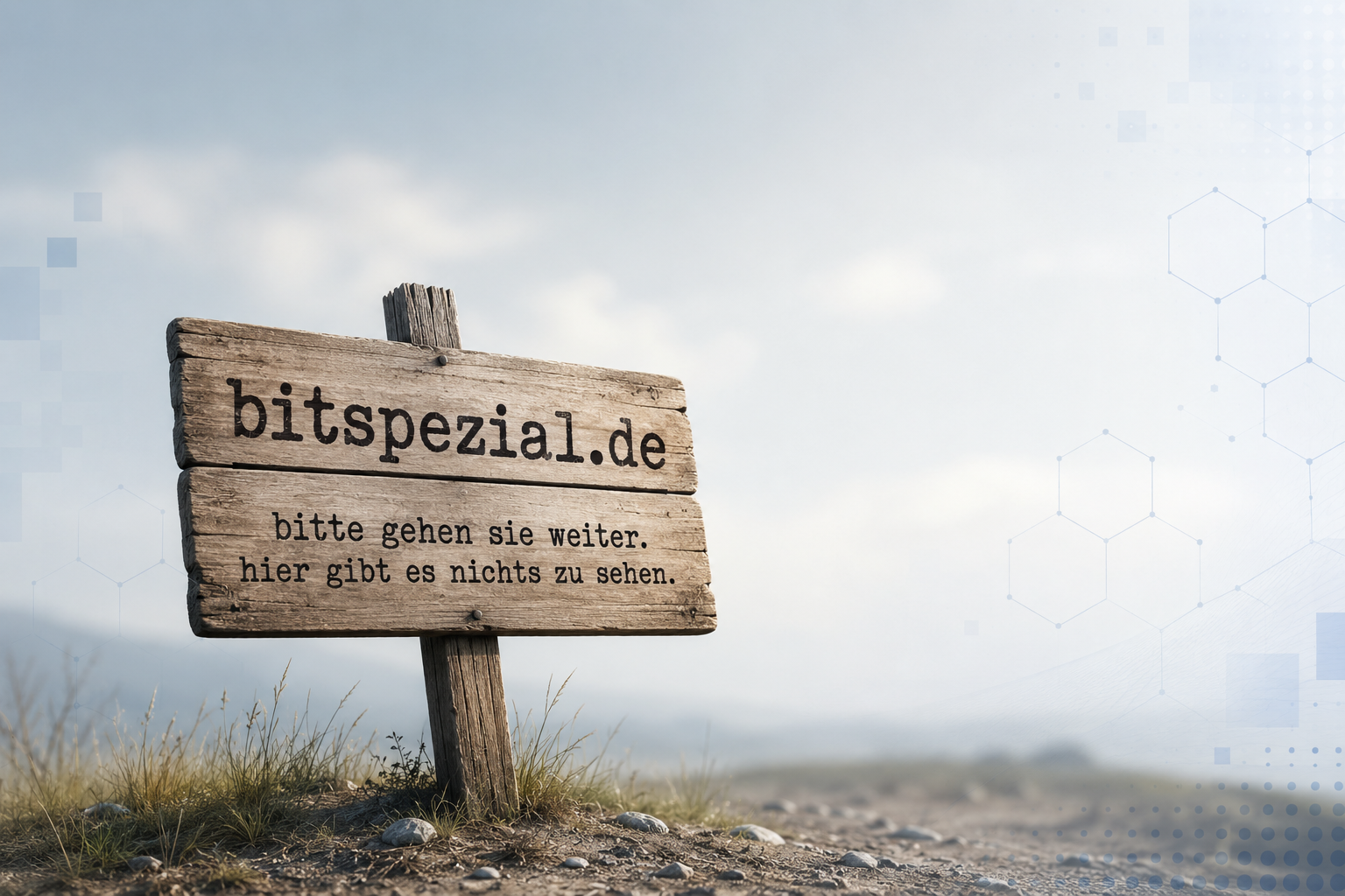 Holzschild mit der Aufschrift bitspezial.de - bitte gehen Sie weiter. Hier gibt es nichts zu sehen.